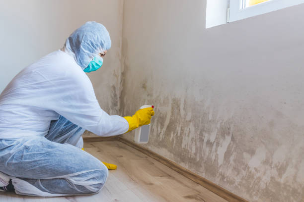 Mold Remediation specialist working in Ault